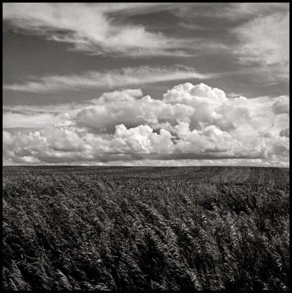Grass and Clouds, Iowa