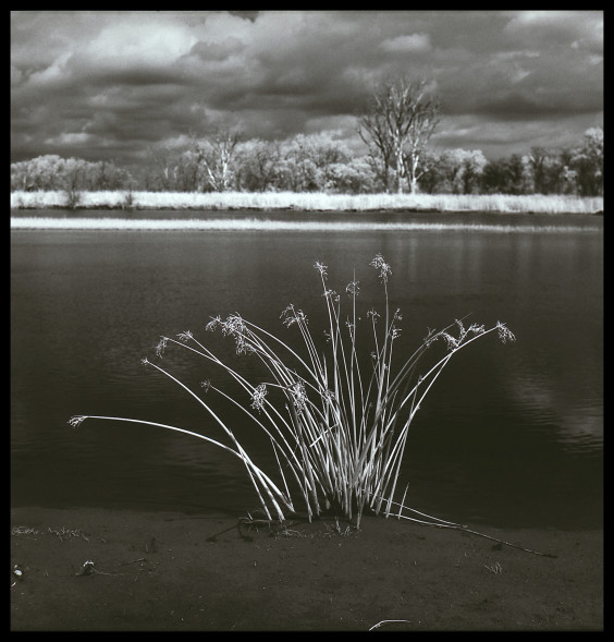 Grass and Storm, Nebraska