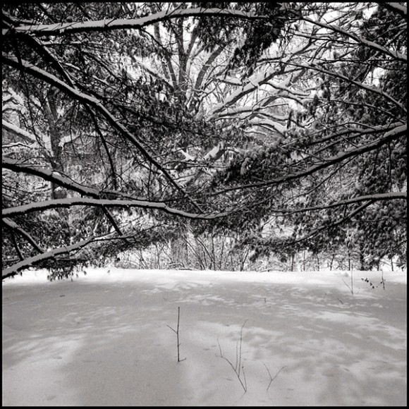 Overlapping Branches