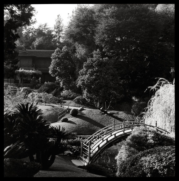 Japanese Garden
