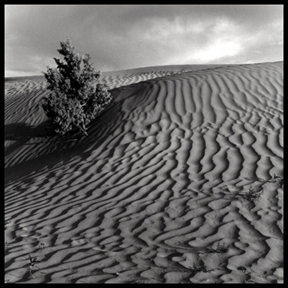 Little Sahara