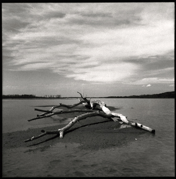 Log, Niobrara