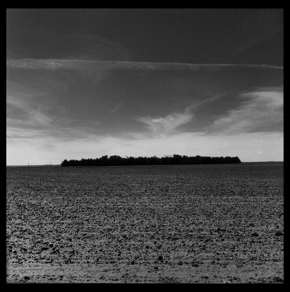 Nebraska Treeline