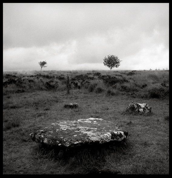 Two Trees and Stone Circle, England