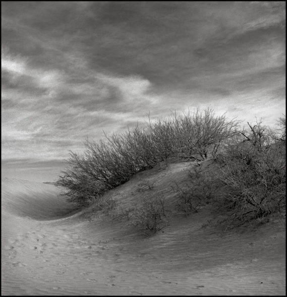 Dunes #3
