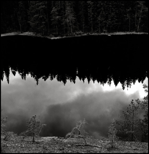 Forest Reflection, Sweden